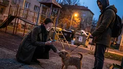 Životná historka: Susedia mi vzali psa z náručia a tvrdia, že je ich